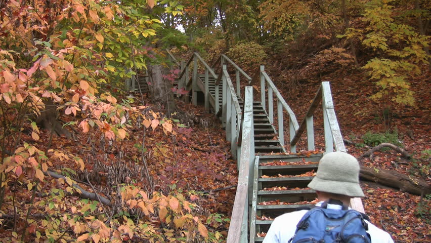 Climbing a big flight of forest stairs.