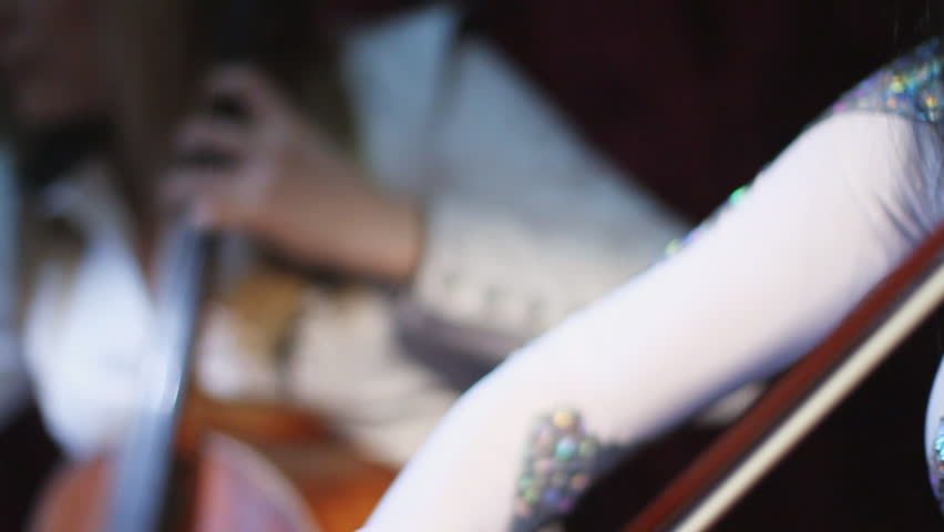 Violinist