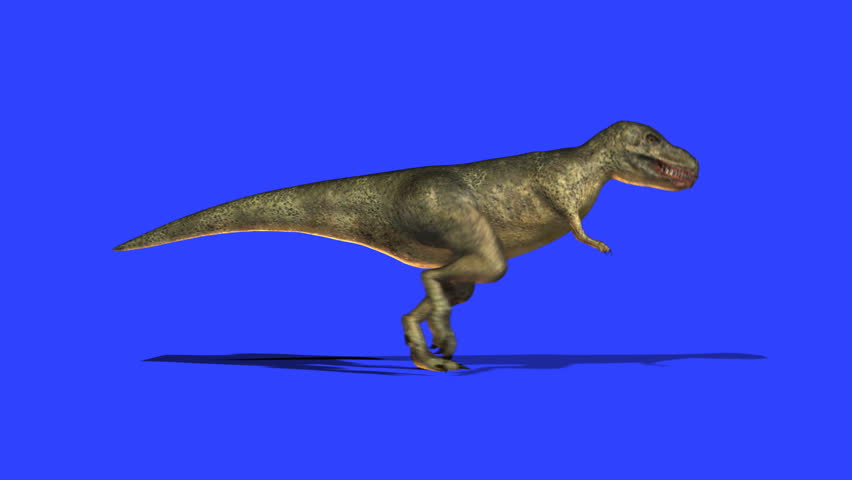 tyrannosaurus rex dinosaur walking