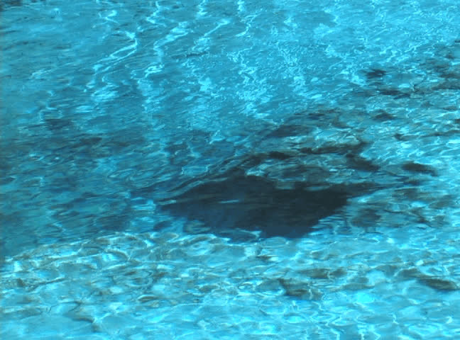 Water flows from a gap in the limerock at Blue Spring in High Springs, Florida.