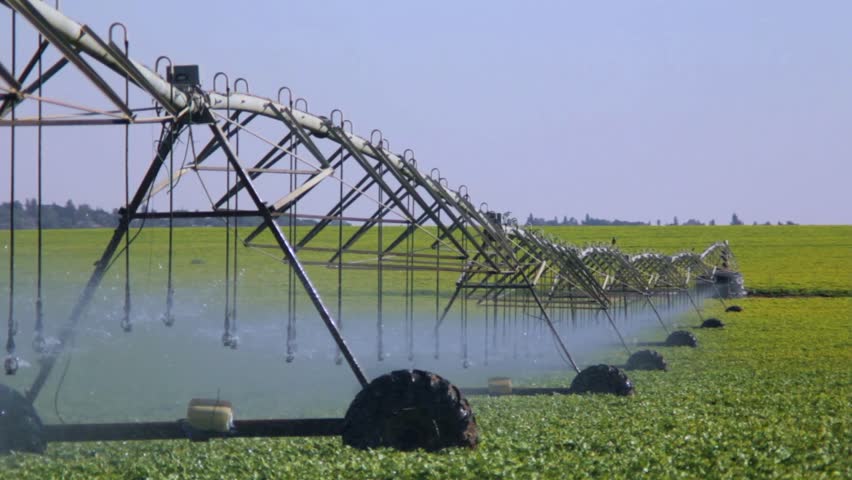 Sprinklers in the field