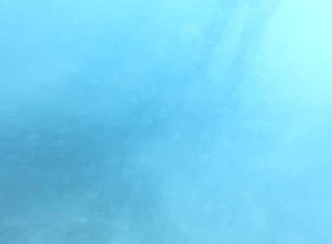 Underwater Bikini Girl HS24 Slow Motion Ocean Waves 240fps