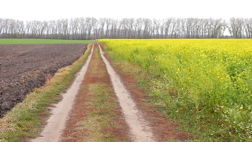 Field