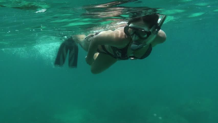 An attractive young female snorkels around the great barrier reef.