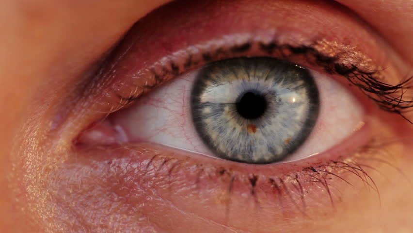 Close-up of blue female eye looking at camera