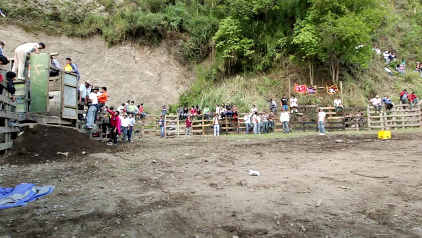 BANOS DE AGUA SANTA,ECUADOR - 28 OCTOBER 2012:Improvised bullfights for the city ceremony gives people the opportunity to try out their skills in bullfighting