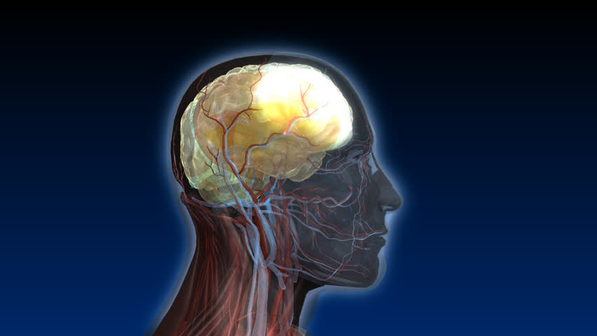 The formation of a blood clot (thrombosis) causes a cerebral bleed inside the cranial cavity resulting in an increase in intra-cranial pressure - may lead to a stroke