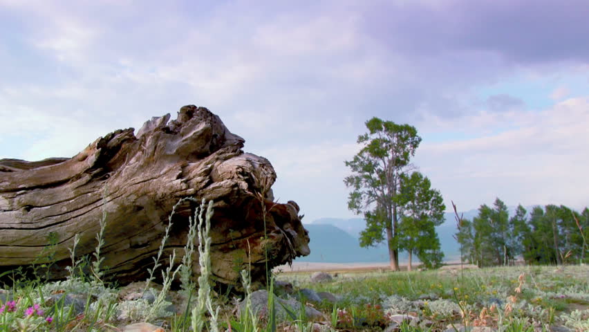 Mountain Valley