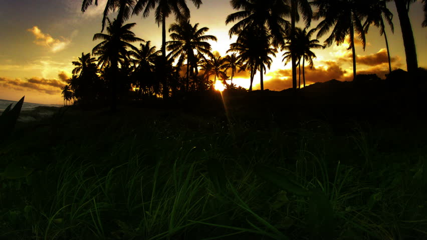 Slight Tilt Up Time-lapse of the Sunset 2 with Coconut Trees
