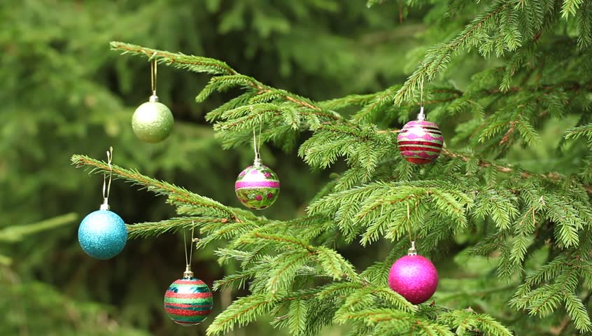 Decorations  on Christmas trees