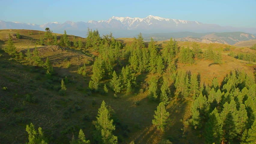 flight over mountain forest