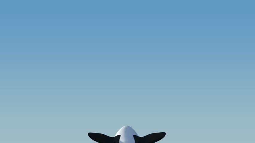 Killer Whale Jumping 1 + Matte Channel
