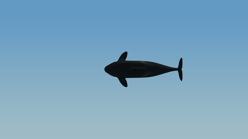 Killer Whale Jumping 3 + Matte Channel