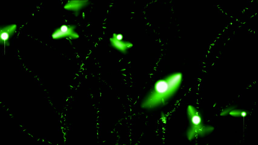 green joy insect & splash watercolor ink particles at night sky,fairyland scene.
