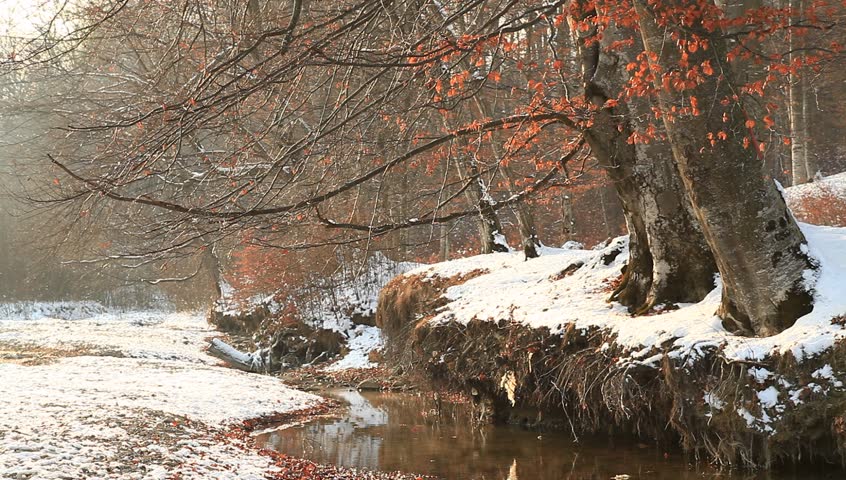 Calm winter scenery with few autumnal leaves