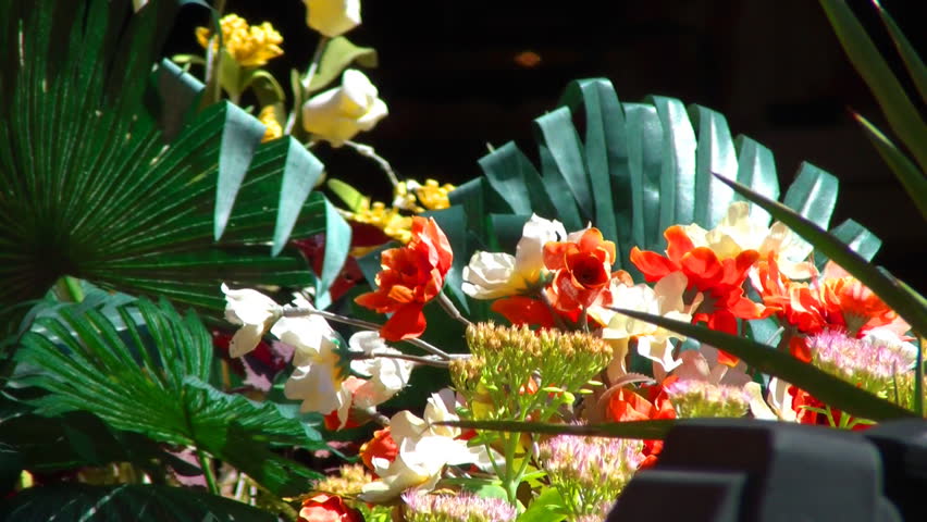 Flowers and plants in beautiful arrangement
