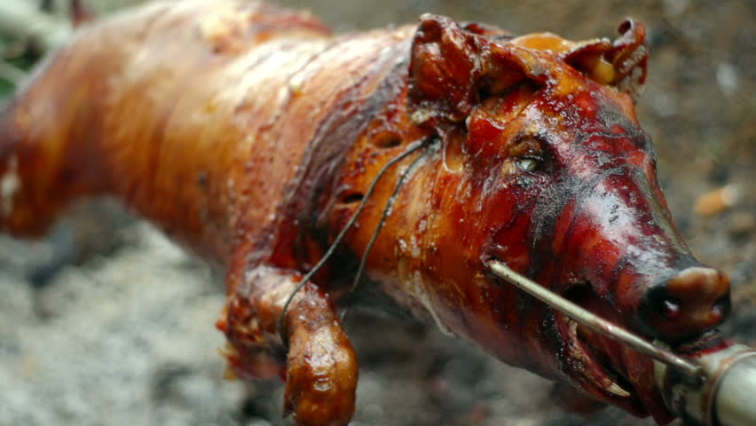 SUPER 35MM CAMERA - Tasty pig on a spit. 