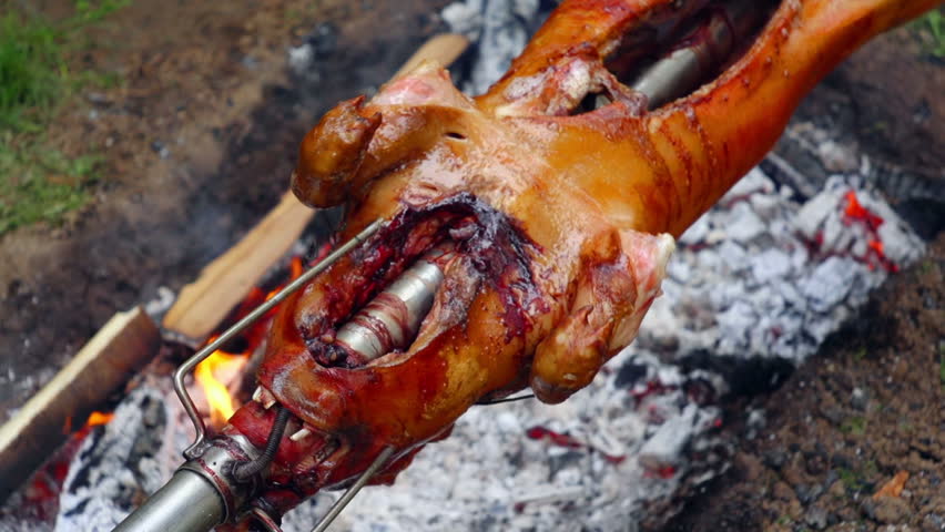 SUPER 35MM CAMERA - Tasty pig on a spit. 