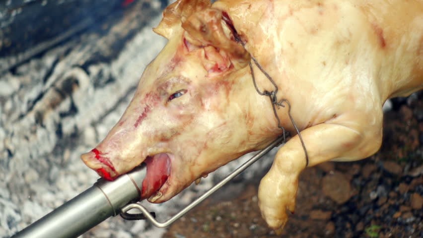 SUPER 35MM CAMERA - Tasty pig on a spit. 