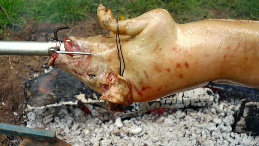 SUPER 35MM CAMERA - Tasty pig on a spit. 