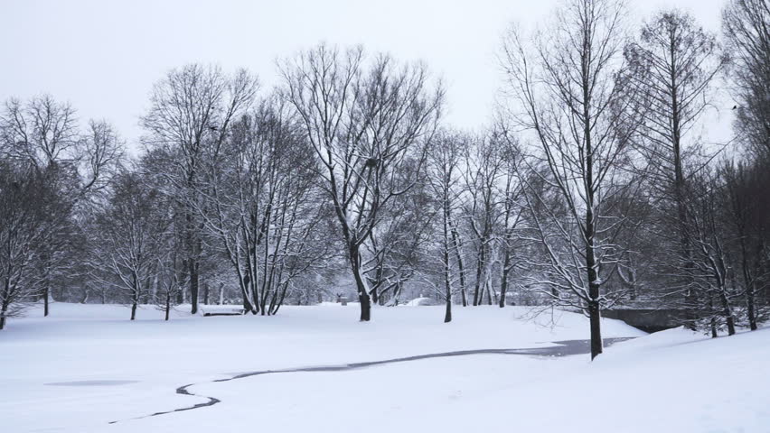 Falling snow in a winter park with snow covered trees, slow motion, filmed at 60pTwo snow cannons producing snow in winter