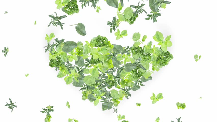 Herbs falling down on white background and shaping a heart