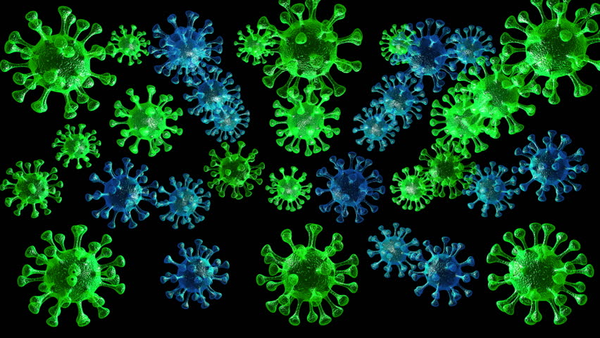 microbe
