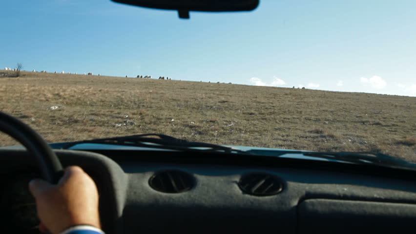 Sheeps Grazing On a Crimean Mountain Plateau