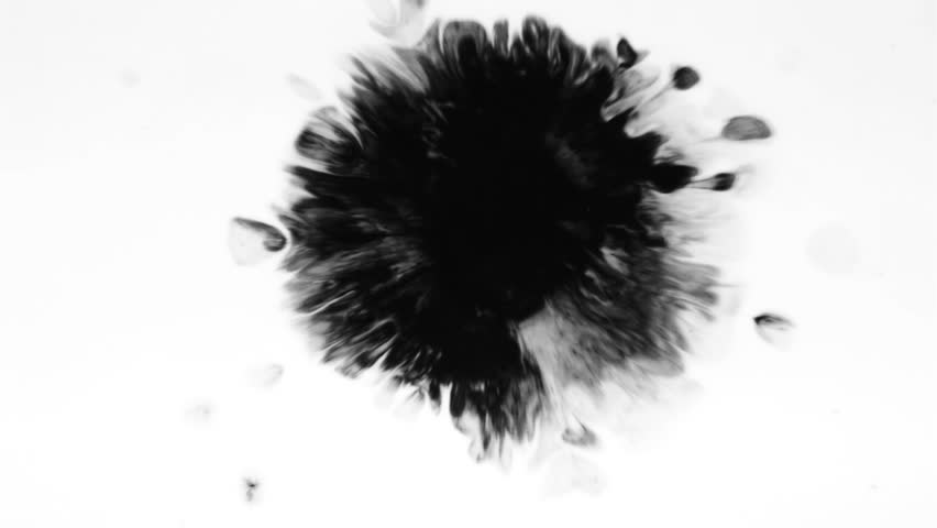 Ink drops on white/Ink Bleed Bloom/Black expanding