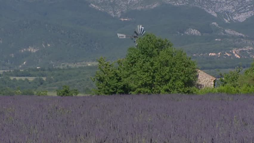 PUIMOISSON, PROVENCE, FRANCE: steel windmill behind lavender field