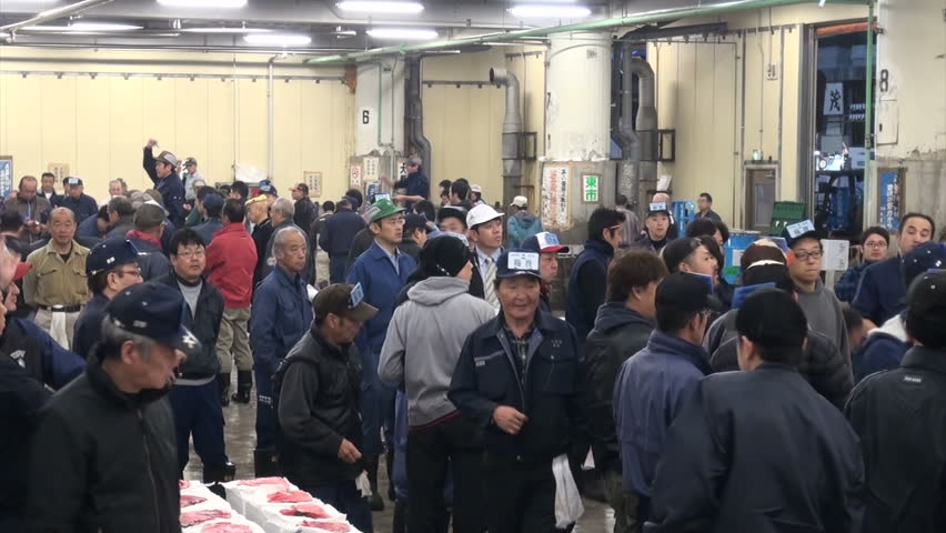 TOKYO, JAPAN - 7 NOVEMBER 2012: Bidders including intermediate wholesalers are taking part in a fierce tuna auction at the Tsukiji fish market in Tokyo, Japan