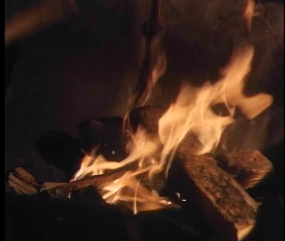 Close-up of person adding wood to campfire