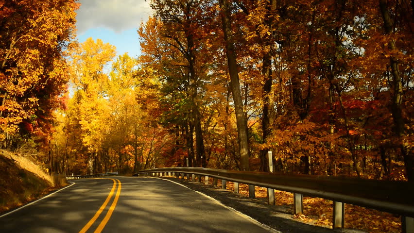 Time lapse of a drive through a hilly twisty road during glorious fall in rural Pennsylvania.  POV.