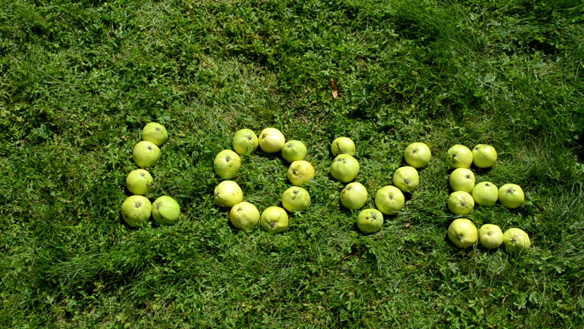 speed up female and male people hands dismantle build word love from apples on green grass.