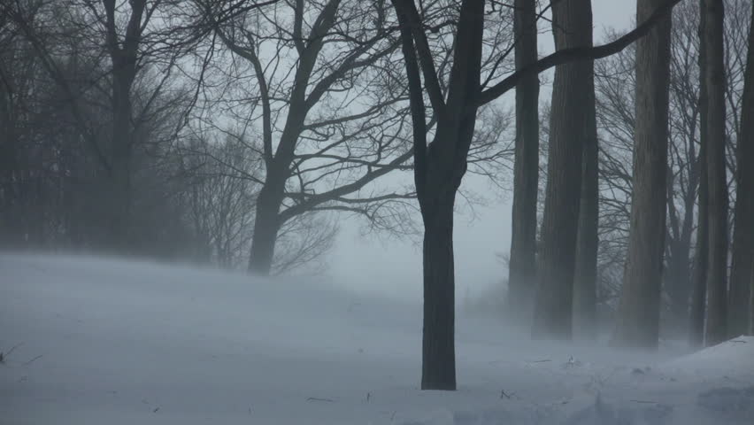 Scenic of wind blowing the snow around in a park (High Definition)