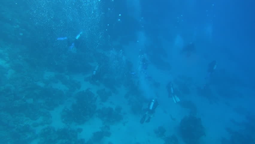 diving group