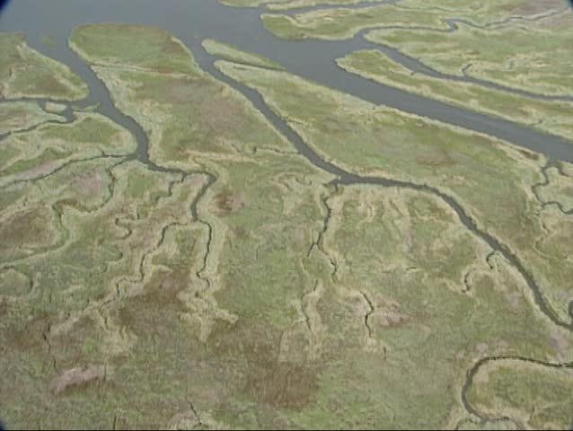 Large creeks in Drowned Land of Saeftinghe,  Dutch Western Scheldt delta in background. During the biggest flood ever in 1570 Saeftinge was overflown. Today it is a nature reserve.