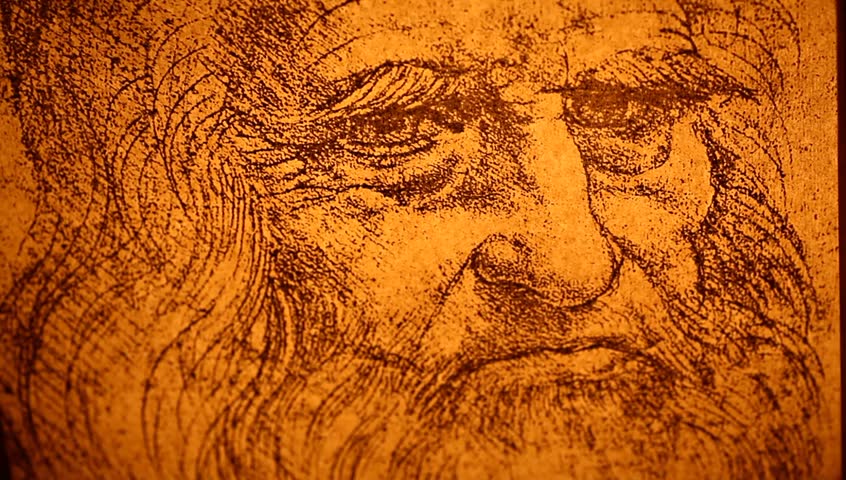 Photo of the Vitruvian Man by Leonardo Da Vinci from 1492