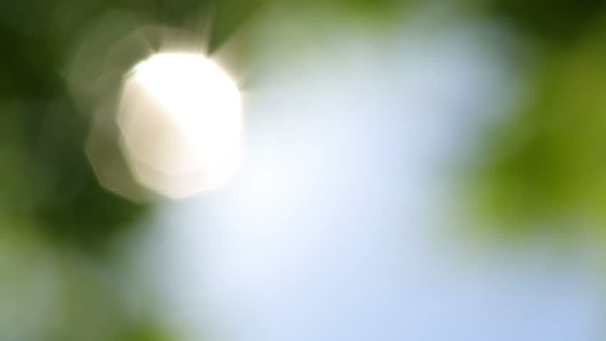 Green Leaves and sun with beautiful lens flare against the Sky
