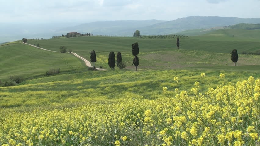 Typical landscape near Terrapille in Val d'Orcia in Tuscany, Italy