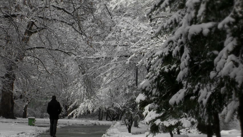 Tilt shot of a snowfall in the forest while a man walks on the path.