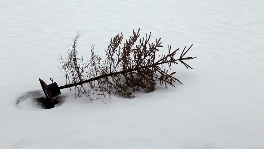 snow fall Full HD progressive video 