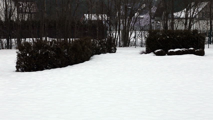 snow fall Full HD progressive video 