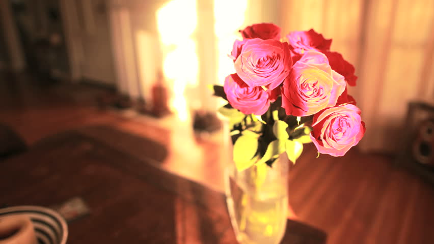 Bright Sun Timelapse on Pink Roses in Vase. Camera pushes forward in motion control as day ends and sunset comes. Can be reversed for sunrise.