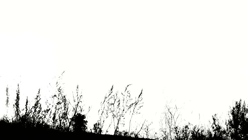 man silhouette walk