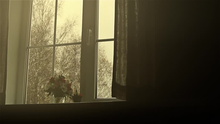Flowers on the window