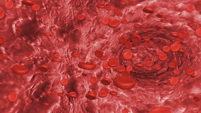 microscopic animated blood cells inside veins