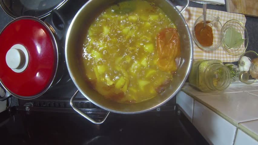 Chicken Stew Cooking in a Pot.
Cooking chicken stew on a stove. HD1080p.