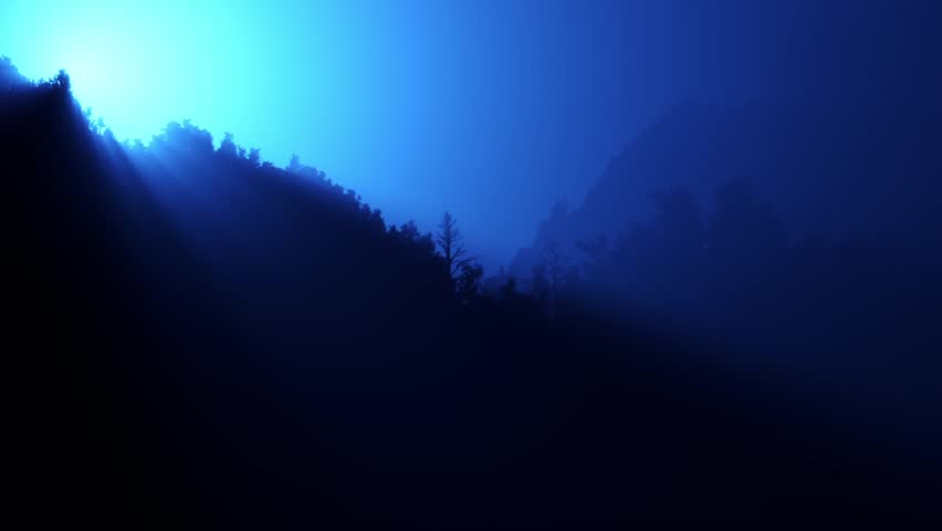 Twinkling sunlight streaks in night forest.