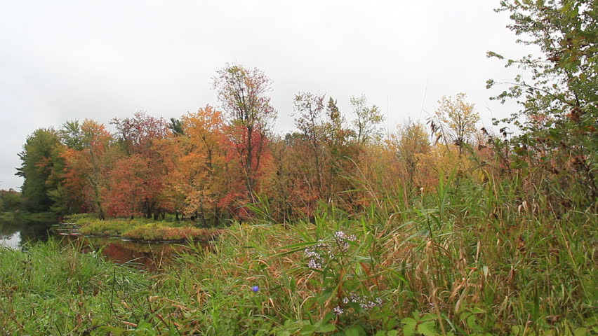 Vermont October 2. A tranquil nature scene in northern Vermont on a cloudy Autumn day.